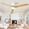 Ateroll Ventilador de Techo con Luz Silencioso 52", Mando a Distancia