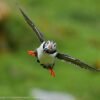 71oEGVywaL._AC_SL1500_ Sony Alpha 6700 - Camara Mirrorless APS-C con Autofocus IA